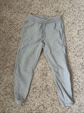 Aritzia SweatFleece Cozy Fleece Sweatpants  - Light Gray